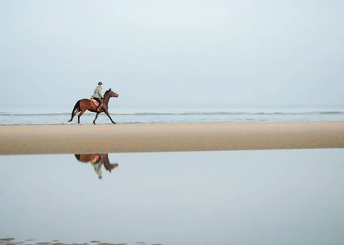 Holiday home El Mirador De Meron